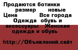 Продаются ботинки Baldinini, размер 37,5 новые › Цена ­ 7 000 - Все города Одежда, обувь и аксессуары » Женская одежда и обувь   